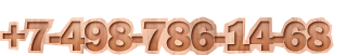 +7-498-786-14-68