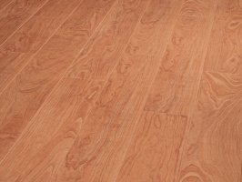   Balterio Tradition Elegant 668  